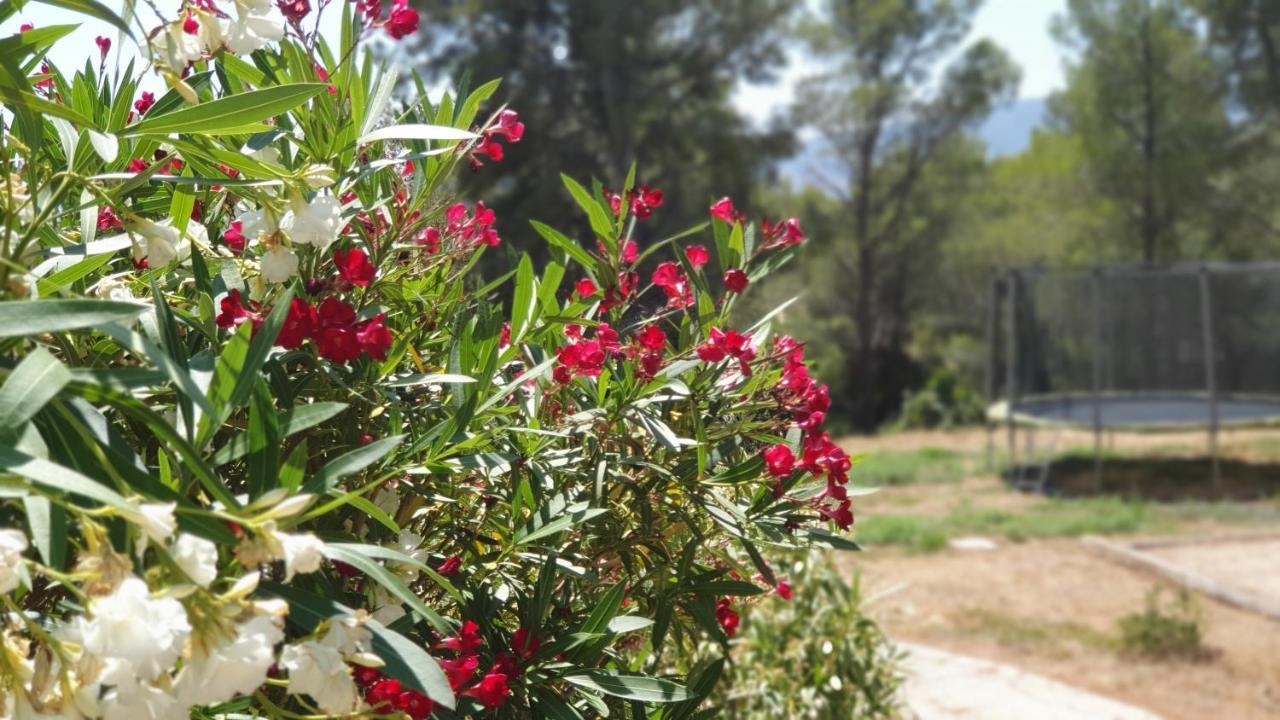 Terres Du Baguier Holiday home *